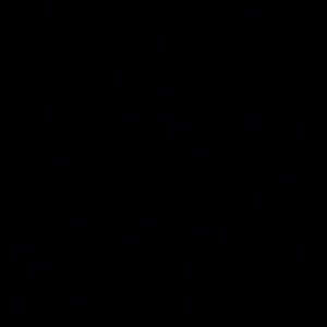 Meet your Posher, Sissa